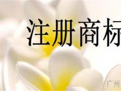 香港商標(biāo)注冊(cè)如何查詢